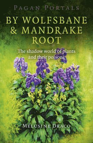 bokomslag Pagan Portals - By Wolfsbane & Mandrake Root - The shadow world of plants and their poisons