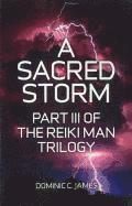 bokomslag Sacred Storm, A  Part III of The Reiki Man Trilogy