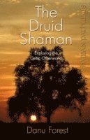 bokomslag Shaman Pathways - the Druid Shaman