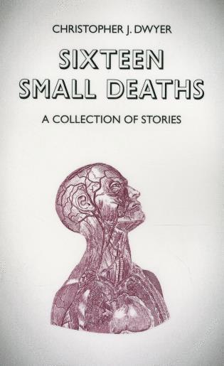 bokomslag Sixteen Small Deaths: A Collection of Stories