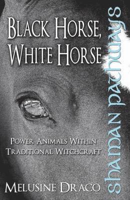 bokomslag Shaman Pathways - Black Horse, White Horse