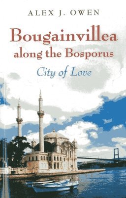 Bougainvillea along the Bosporus  City of Love 1
