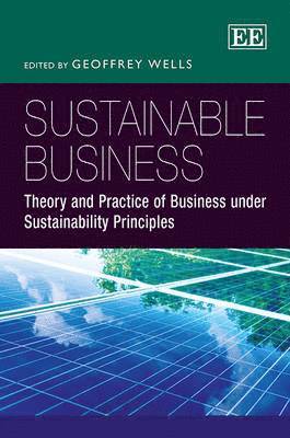 bokomslag Sustainable Business