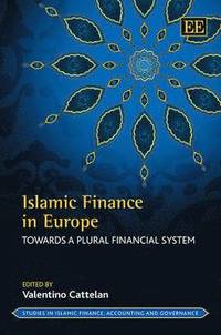 bokomslag Islamic Finance in Europe
