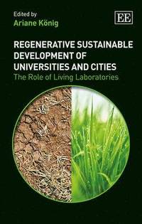 bokomslag Regenerative Sustainable Development of Universities and Cities