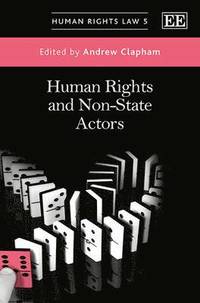 bokomslag Human Rights and Non-State Actors