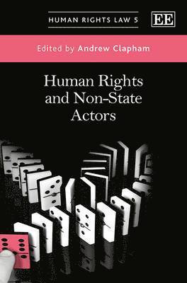 bokomslag Human Rights and Non-State Actors