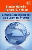 bokomslag Economic Development as a Learning Process