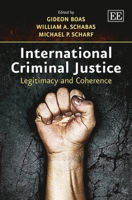 bokomslag International Criminal Justice