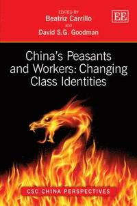 bokomslag Chinas Peasants and Workers: Changing Class Identities