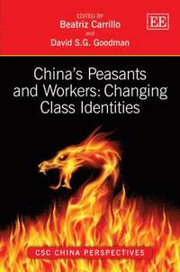 bokomslag China's Peasants and Workers: Changing Class Identities