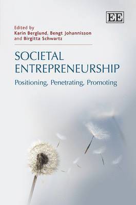 bokomslag Societal Entrepreneurship