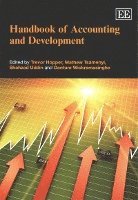 bokomslag Handbook of Accounting and Development