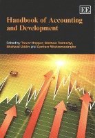 bokomslag Handbook of Accounting and Development