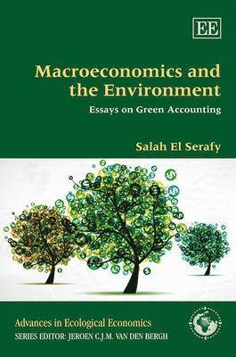 bokomslag Macroeconomics and the Environment