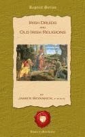 bokomslag Irish Duids and Old Irish Religions