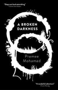 bokomslag A Broken Darkness