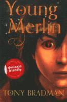 bokomslag Young Merlin
