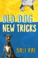 bokomslag Old Dog, New Tricks