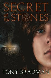bokomslag Secret of the Stones