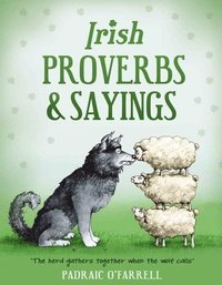 bokomslag Irish Proverbs and Sayings