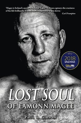 bokomslag The Lost Soul of Eamonn Magee