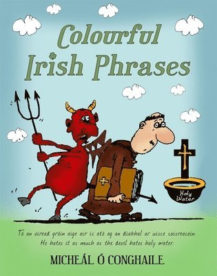 bokomslag Colourful Irish Phrases