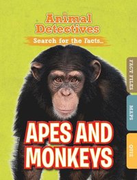 bokomslag Apes & Monkeys