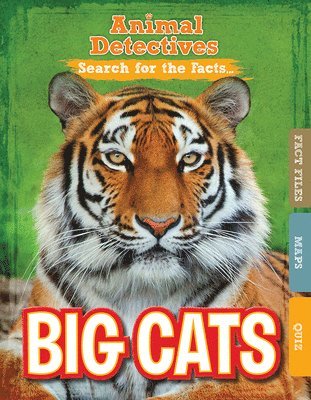 Anne O'Daly - Big Cats, Inbunden