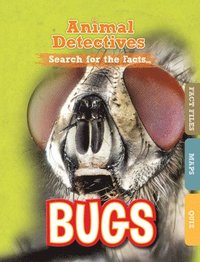 bokomslag Bugs