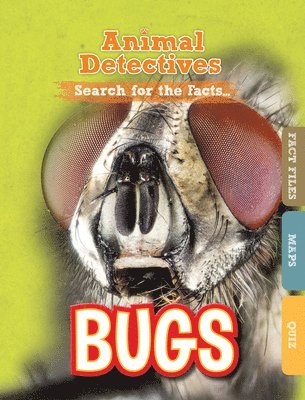 bokomslag Bugs