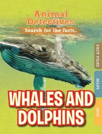 bokomslag Whales & Dolphins