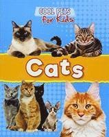 Cats 1