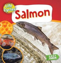 bokomslag Salmon