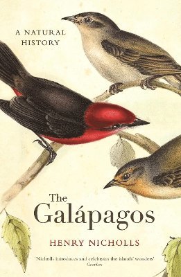 The Galapagos 1