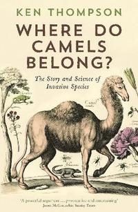 bokomslag Where Do Camels Belong?