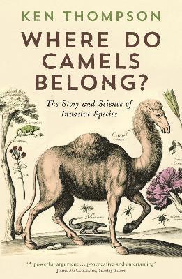 Where Do Camels Belong? 1