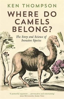 Ken Thompson - Where Do Camels Belong?, Häftad