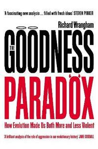 bokomslag The Goodness Paradox