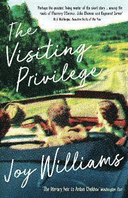 Joy Williams - Visiting Privilege, Häftad