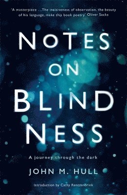 John Hull - Notes on Blindness, Häftad