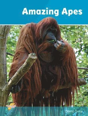 Amazing Apes 1