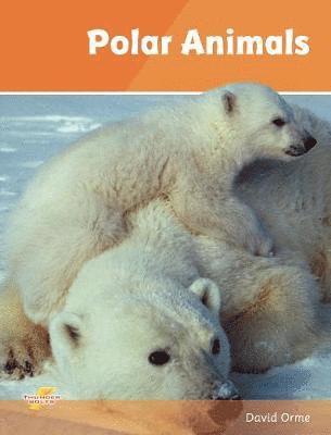 Polar Animals 1