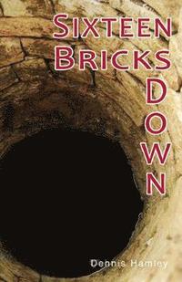 bokomslag Sixteen Bricks Down