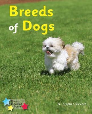 Breeds of Dogs 1