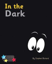 bokomslag In the Dark