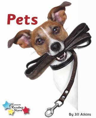 Pets 1