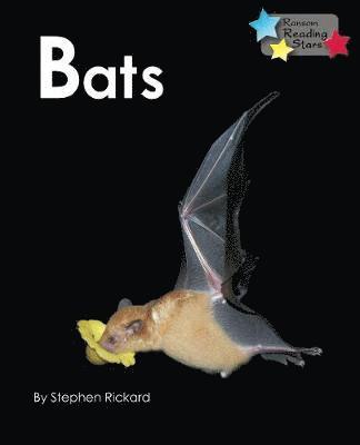 bokomslag Bats