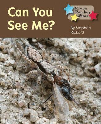 Rickard Stephen - Can You See Me, Häftad
