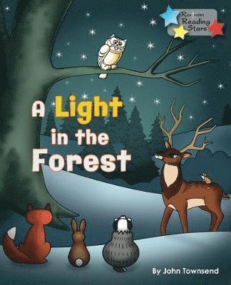 Townsend John - Light in the Forest, Häftad